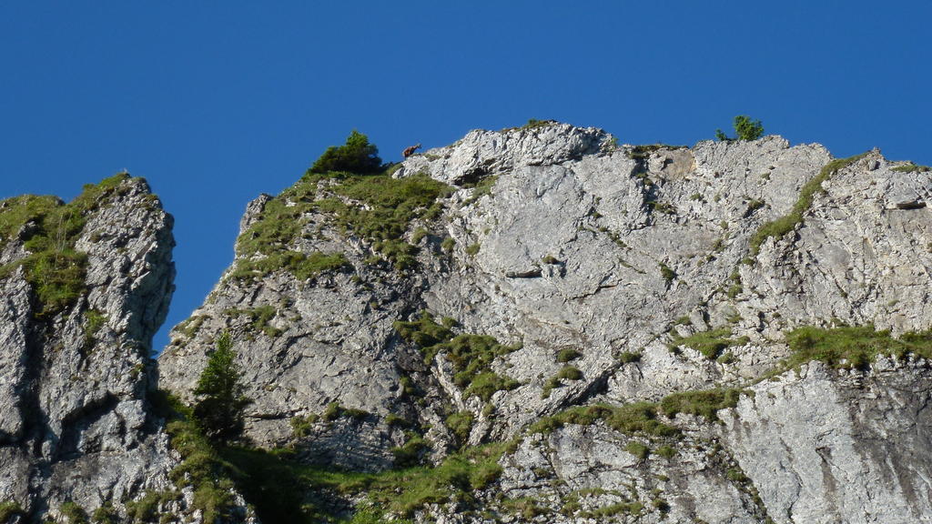 Gaestehaus Christa Obermaiselstein Exterior photo